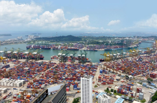 Global Initiatives and Supply Chains